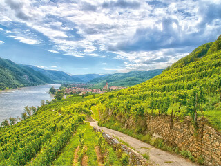Údolí Wachau