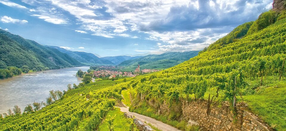 Wachau ***EXCLUSIVE***