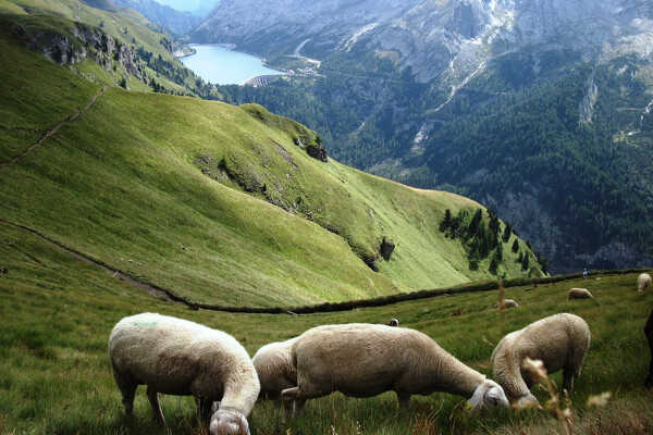 Dolomity s lehkou turistikou pro každého