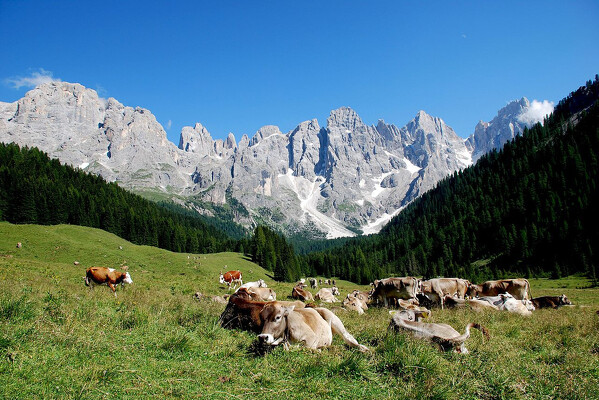 Malebné Trentino a Dolomity