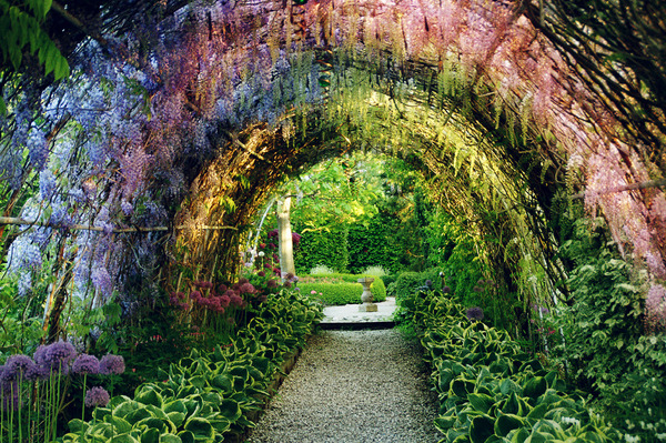 Baltské moře, Hotel Wellness Medical SPA UNITRAL