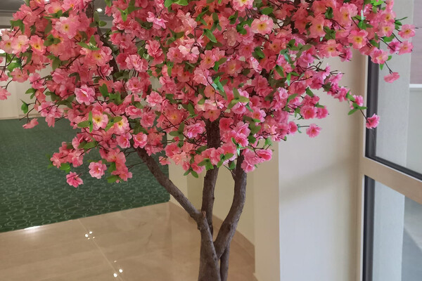 Termální lázně Bojnice