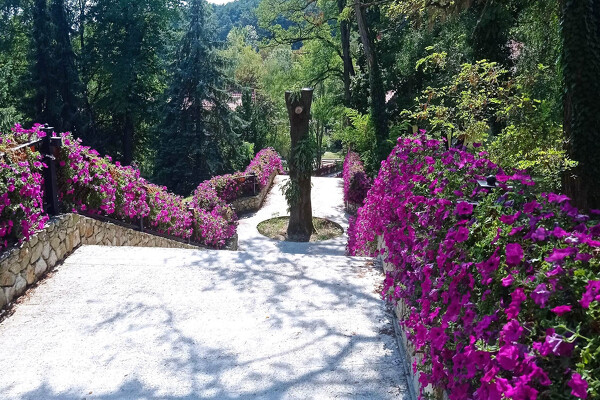 Termální lázně Bojnice