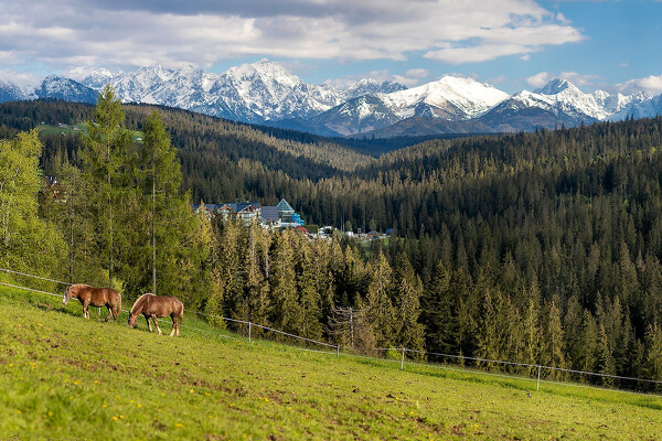 Bukowina Tatrzańska, Resort BUKOVINA SPA & WELLNESS****