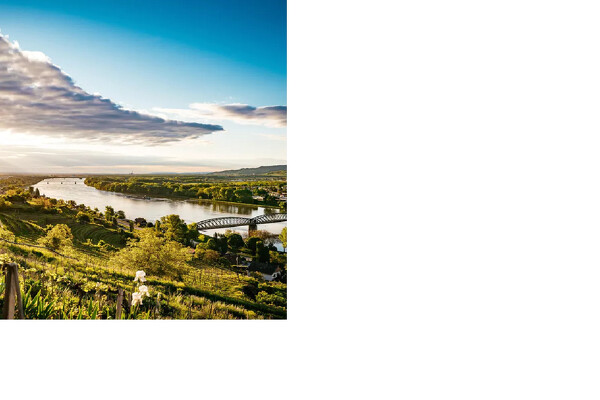 Wachau - romantika v údolí Dunaje