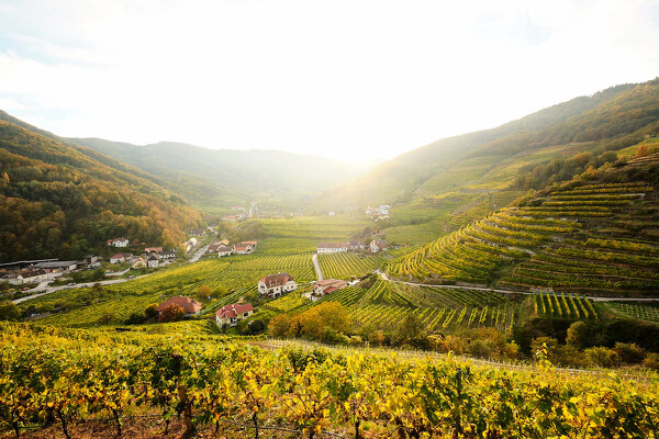 Wachau - romantika v údolí Dunaje