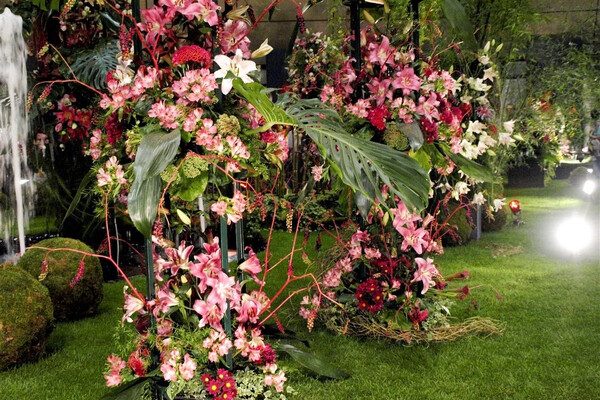 Wachau - romantika v údolí Dunaje