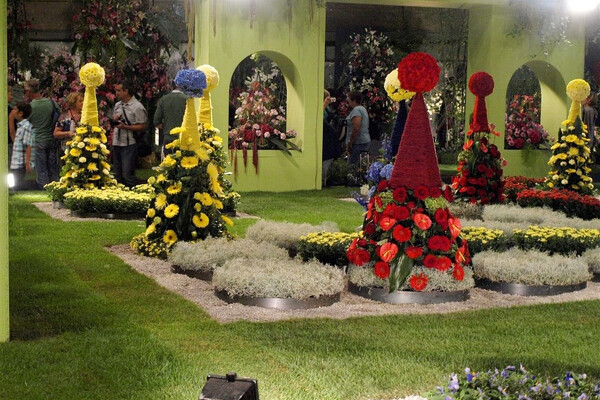 Wachau - romantika v údolí Dunaje