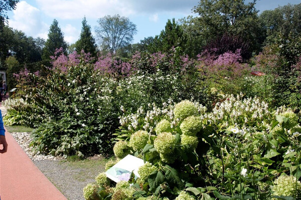 Wachau - romantika v údolí Dunaje