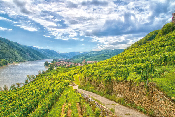 Wachau - romantika v údolí Dunaje