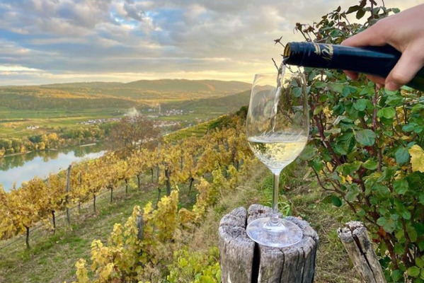 Wachau - romantika v údolí Dunaje