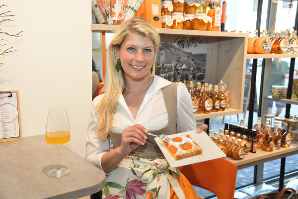 Wachau - romantika v údolí Dunaje