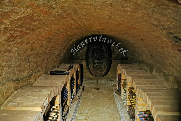 Wachau - romantika v údolí Dunaje