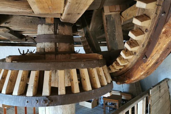 Wachau - romantika v údolí Dunaje