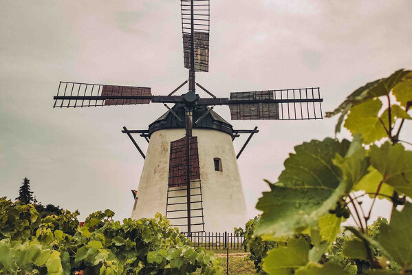 Wachau - romantika v údolí Dunaje