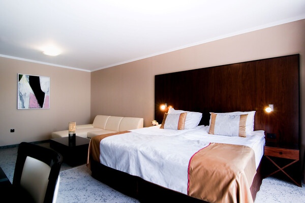 Moravské Toplice, Hotel TERME VIVAT*****