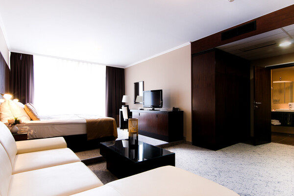 Moravské Toplice, Hotel TERME VIVAT*****