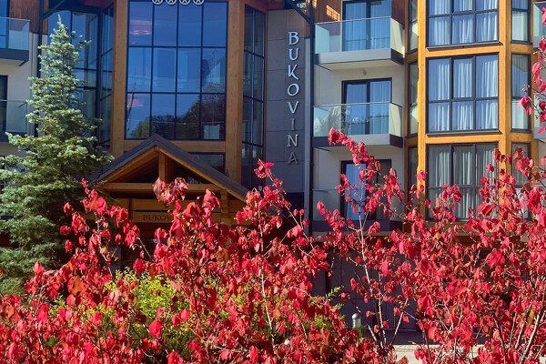 Termální koupaliště BUKOVINA, Bukowina Tatrzańska 1denní