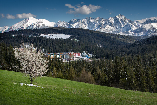 Termální koupaliště BUKOVINA, Bukowina Tatrzańska 1denní