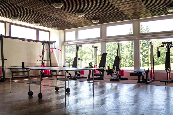 Wellness Vánoce v Luhačovicích – Hotel Harmonie ***