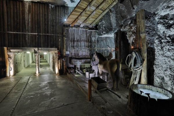 Kraków, Wieliczka - jednodenní zájezd